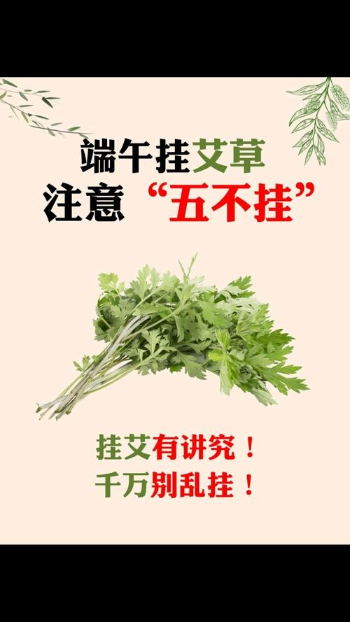 新闻中心 第744页