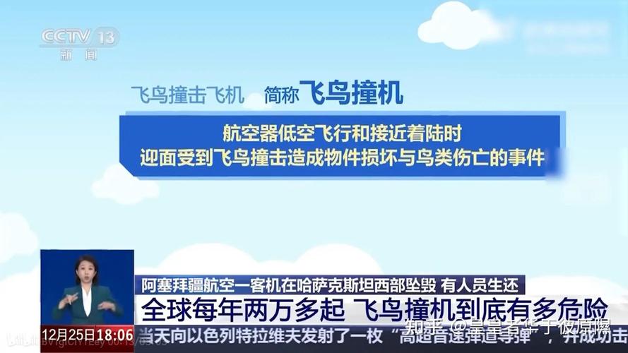 新澳2025正版免費資料和韩国坠机致4人遇难与韩国坠机事件