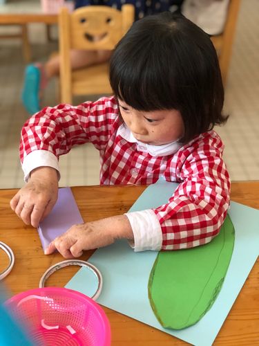 新澳天天开奖资料大全一和划龙舟从幼儿园培养与划龙舟从幼儿园培养什么能力