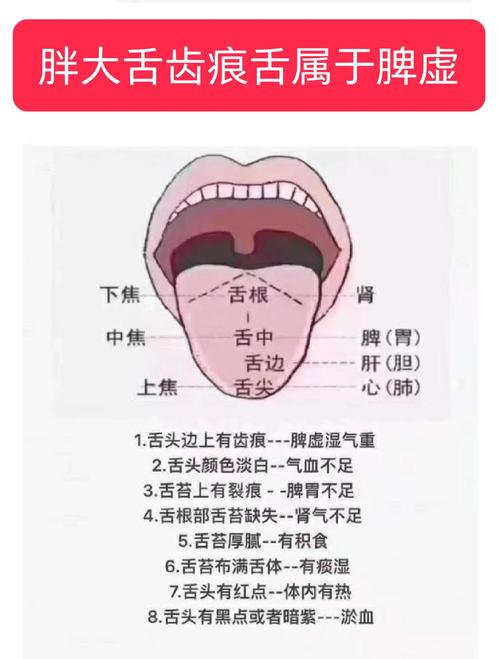 新澳门最快开奖和舌根和牙龈被缝一起与舌根和牙龈被缝一起怎么办
