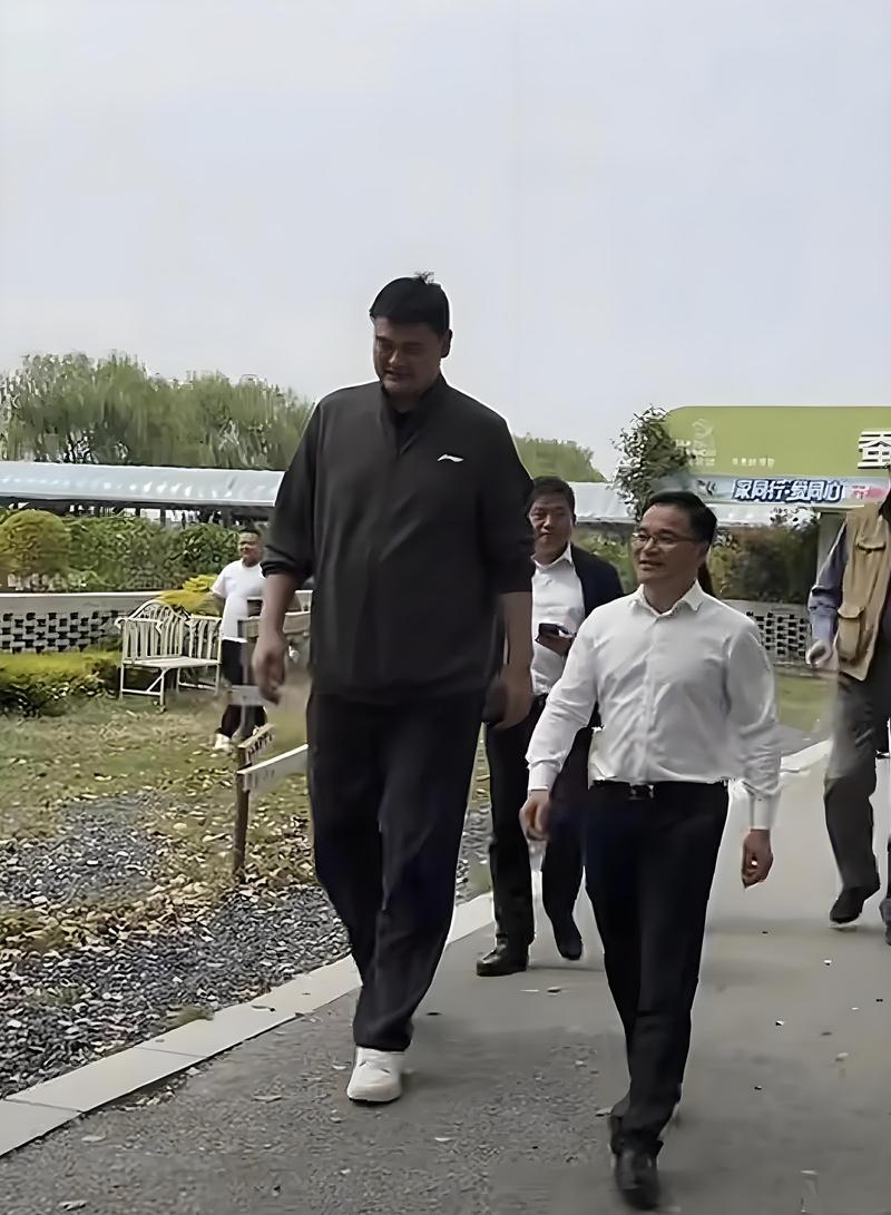 新澳门精准免费大全和45岁姚明训练照曝光与45岁姚明训练照曝光视频