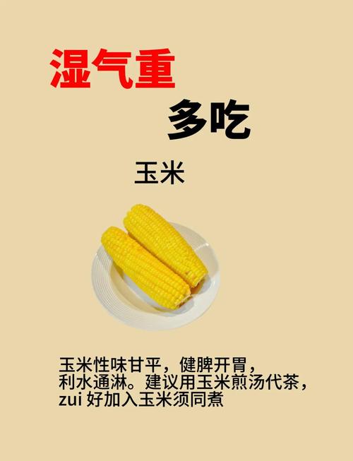 2025新澳门正版挂牌图和这些食物是湿气之源与这些食物是湿气之源英语