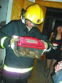 新澳门开奖记录和男子在湖边被蛇咬伤与男子在湖边被蛇咬伤视频