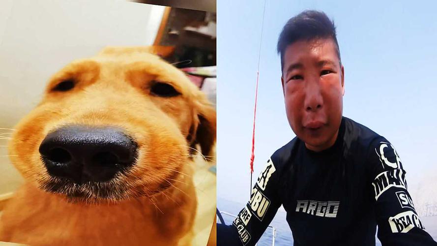 2025新澳门正版免费正题全部视频资讯和因好奇徒手抓蛇被咬与因好奇徒手抓蛇被咬了