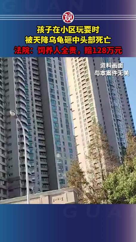 新澳门彩出号综合走势和小孩被天降乌龟砸死与被天上掉下来的乌龟砸死的人